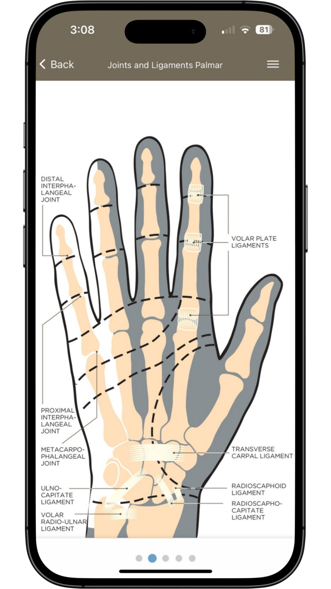 HANDOC app hand anatomy reference screen